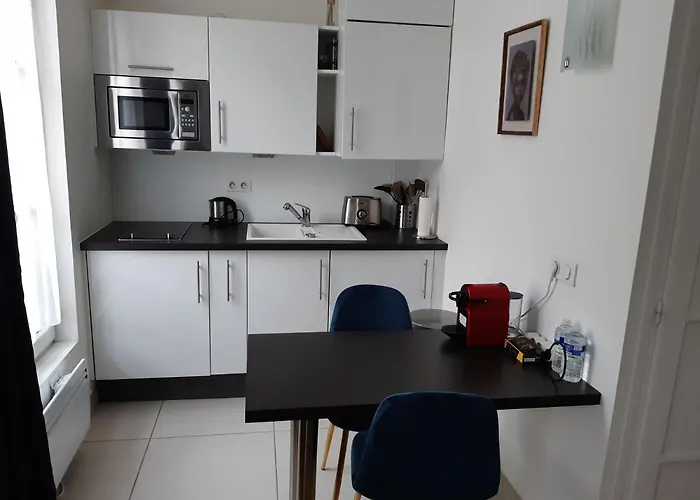 Le Studio Versaillais Appartement Versailles